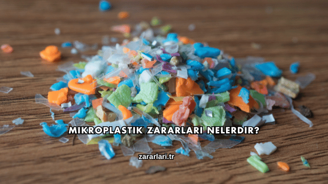 Mikroplastik Zararları Nelerdir?