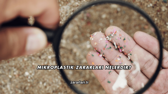 Mikroplastik Zararları Nelerdir?