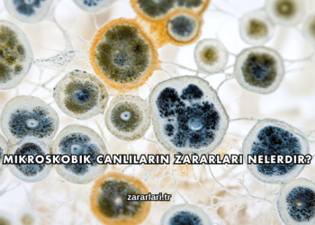 Mikroskobik Canlıların Zararları Nelerdir?