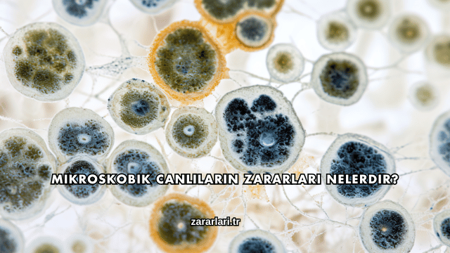 Mikroskobik Canlıların Zararları Nelerdir?
