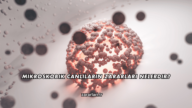 Mikroskobik Canlıların Zararları Nelerdir?