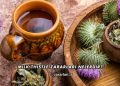 Milk Thistle Zararları Nelerdir?