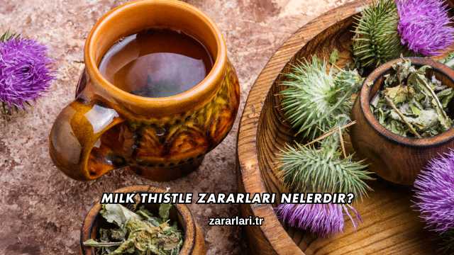 Milk Thistle Zararları Nelerdir?