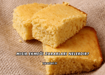 Mısır Ekmeği Zararları Nelerdir?