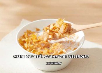 Mısır Gevreği Zararları Nelerdir?