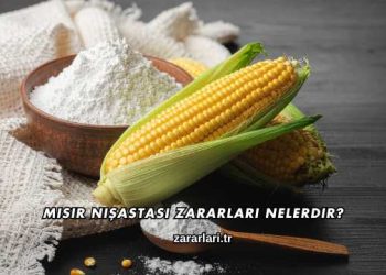 Mısır Nişastası Zararları Nelerdir?