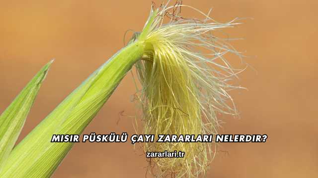 Mısır Püskülü Çayı Zararları Nelerdir?