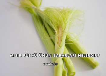 Mısır Püskülünün Zararları Nelerdir?