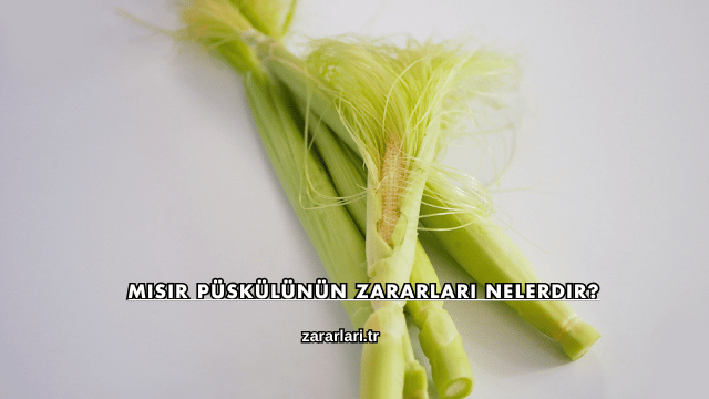 Mısır Püskülünün Zararları Nelerdir?