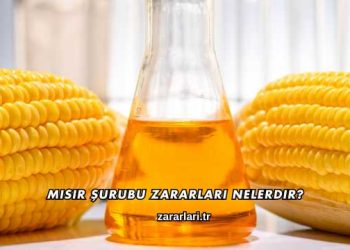 Mısır Şurubu Zararları Nelerdir?