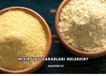 Mısır Unu Zararları Nelerdir?