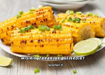 Mısırın Zararları Nelerdir?