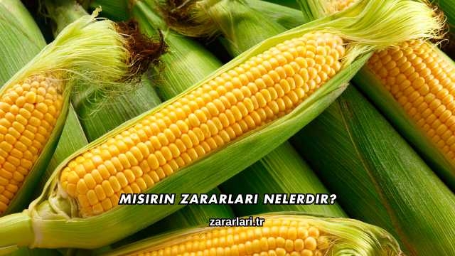 Mısırın Zararları Nelerdir?
