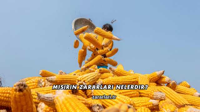 Mısırın Zararları Nelerdir?