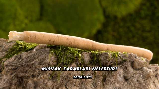 Misvak Zararları Nelerdir?