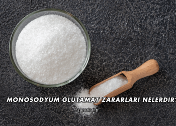 Monosodyum Glutamat Zararları Nelerdir?