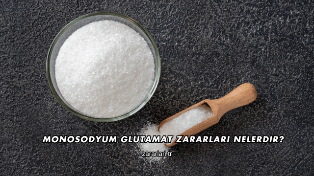 Monosodyum Glutamat Zararları Nelerdir?