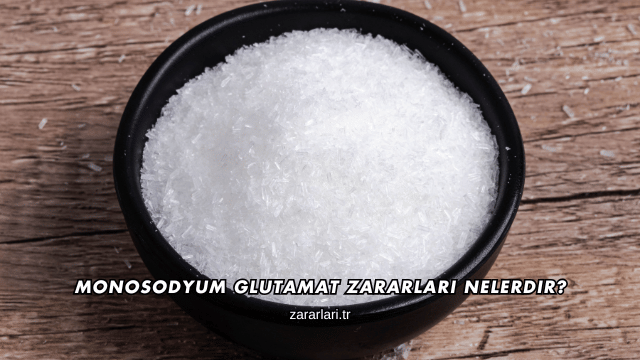 Monosodyum Glutamat Zararları Nelerdir?
