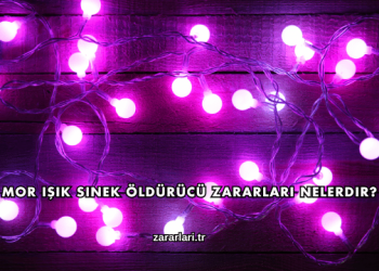 Mor Işık Sinek Öldürücü Zararları Nelerdir?