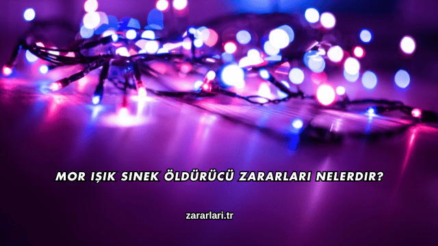 Mor Işık Sinek Öldürücü Zararları Nelerdir?