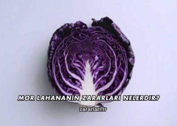 Mor Lahananın Zararları Nelerdir?