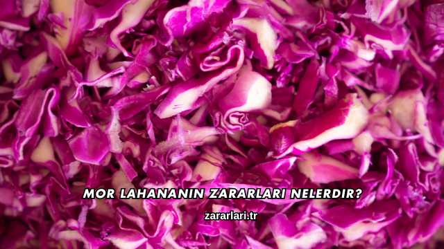 Mor Lahananın Zararları Nelerdir?