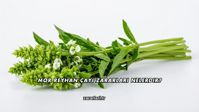 Mor Reyhan Çayı Zararları Nelerdir?