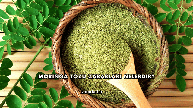 Moringa Tozu Zararları Nelerdir?