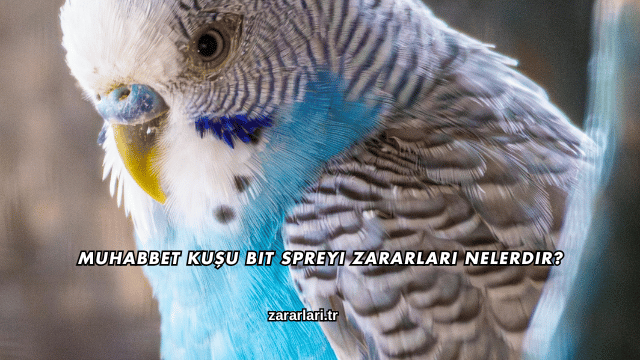 Muhabbet Kuşu Bit Spreyi Zararları Nelerdir?