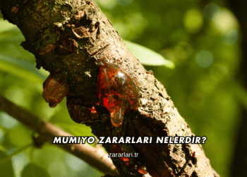 Mumiyo Zararları Nelerdir?