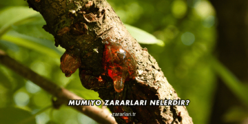 Mumiyo Zararları Nelerdir?