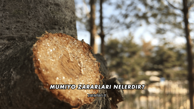 Mumiyo Zararları Nelerdir?
