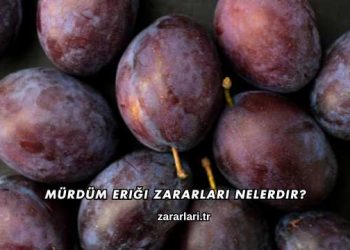 Mürdüm Eriği Zararları Nelerdir?