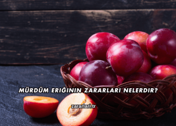 Mürdüm Eriğinin Zararları Nelerdir?