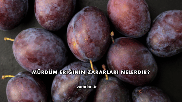 Mürdüm Eriğinin Zararları Nelerdir?