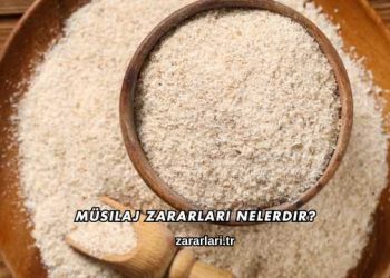 Müsilaj Zararları Nelerdir?