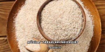 Müsilaj Zararları Nelerdir?