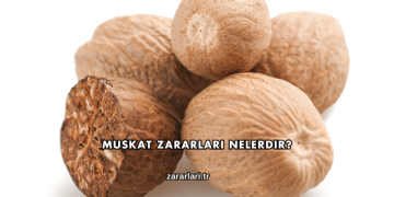Muskat Zararları Nelerdir?