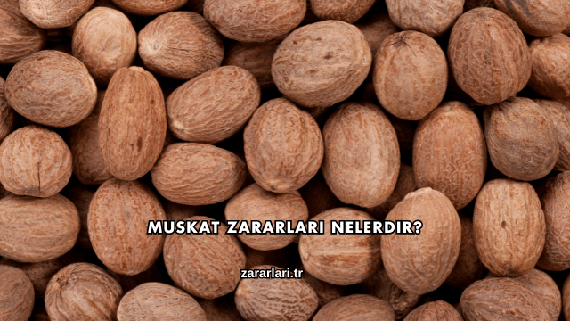 Muskat Zararları Nelerdir?
