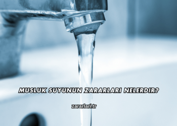 Musluk Suyunun Zararları Nelerdir?