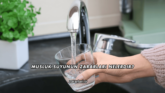 Musluk Suyunun Zararları Nelerdir?