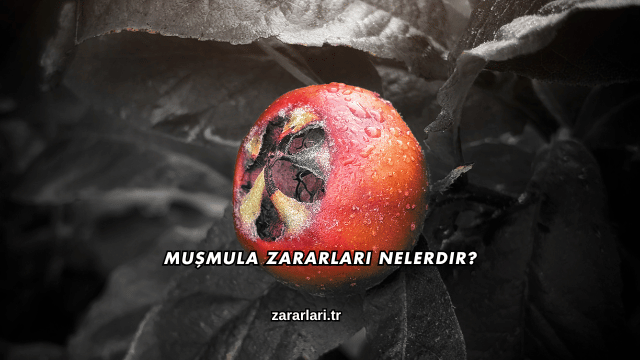 Muşmula Zararları Nelerdir?