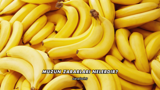 Muzun Zararları Nelerdir?