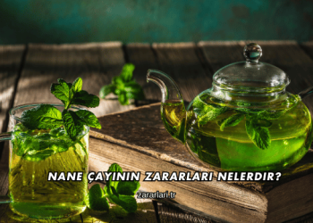 Nane Çayının Zararları Nelerdir?