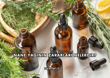 Nane Yağının Zararları Nelerdir?