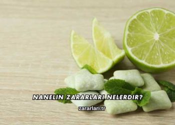 Nanelin Zararları Nelerdir?