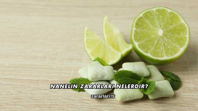Nanelin Zararları Nelerdir?