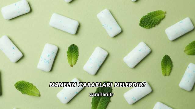 Nanelin Zararları Nelerdir?