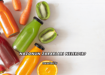 Nazonun Zararları Nelerdir?