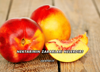 Nektarinin Zararları Nelerdir?